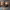 https://res.cloudinary.com/billionhands/image/upload/v1771578458/items/fsqi6ulcteyy3txstswb.jpg-1cover