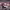 https://res.cloudinary.com/billionhands/image/upload/v1771578469/items/gd5vmlqew1qviyxdxz84.jpg-0cover