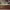 https://res.cloudinary.com/billionhands/image/upload/v1771578471/items/sr3n5ccb7ukxbqqaoucu.jpg-3cover