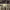 https://res.cloudinary.com/billionhands/image/upload/v1771578498/items/mfuh8zja1jsg5mhyeh3z.jpg-1cover