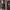 https://res.cloudinary.com/billionhands/image/upload/v1771578509/items/fsnjq2nvem1j24unp3jy.jpg-1cover