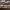 https://res.cloudinary.com/billionhands/image/upload/v1771578520/items/igk2x1prdjt83em57m7r.jpg-3cover