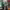 https://res.cloudinary.com/billionhands/image/upload/v1771578520/items/un21kr8yr27txoc3sdxh.png-0cover