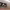 https://res.cloudinary.com/billionhands/image/upload/v1771578526/items/psmls8k3cl2vtf0b6ln6.jpg-3cover