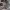 https://res.cloudinary.com/billionhands/image/upload/v1771578566/items/gaif6jmgmqtbsoqcuprf.jpg-1cover