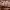 https://res.cloudinary.com/billionhands/image/upload/v1771578675/items/i7abpn95sm42lwsnjqip.webp-1cover
