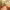 https://res.cloudinary.com/billionhands/image/upload/v1771578781/items/dm5xhbf9fhfvld4magvu.jpg-2cover