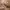 https://res.cloudinary.com/billionhands/image/upload/v1771578808/items/jptar9ibf1uqmrdsbct8.jpg-3cover