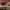 https://res.cloudinary.com/billionhands/image/upload/v1771578830/items/s2lqo9v2hy2fuja6twox.jpg-2cover