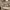 https://res.cloudinary.com/billionhands/image/upload/v1771578841/items/sz0xthgvitd7cy4ya9ff.webp-1cover