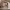 https://res.cloudinary.com/billionhands/image/upload/v1771578845/items/xuy4usnxrlgwxpfkbsk8.webp-0cover