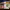 https://res.cloudinary.com/billionhands/image/upload/v1771578852/items/tnfrzzdrphkm4uvp9plc.jpg-0cover