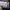 https://res.cloudinary.com/billionhands/image/upload/v1771578872/items/xetz9dd9mvczsjzi0zzg.jpg-0cover