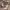 https://res.cloudinary.com/billionhands/image/upload/v1771578874/items/c7nlvprumjgxhkgtjf5x.jpg-1cover