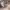 https://res.cloudinary.com/billionhands/image/upload/v1771578875/items/w91ugbwj3u7shruvaekn.webp-2cover