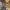 https://res.cloudinary.com/billionhands/image/upload/v1771578880/items/chgq9mver7vjzgxtqqd4.jpg-2cover