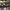 https://res.cloudinary.com/billionhands/image/upload/v1771578880/items/zwcdz5zf1utsn2dshw01.jpg-1cover