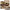 https://res.cloudinary.com/billionhands/image/upload/v1771578894/items/gyp9y9lnndfkhwtl6osq.png-2cover