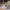 https://res.cloudinary.com/billionhands/image/upload/v1771578909/items/aautmldcmtryobruwo6f.jpg-0cover
