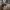 https://res.cloudinary.com/billionhands/image/upload/v1771579065/items/xrvgj5vq9akgcpo1jj7d.jpg-3cover