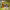 https://res.cloudinary.com/billionhands/image/upload/v1771579258/items/qipkeblykqenb2gyyzqq.jpg-1cover