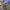 https://res.cloudinary.com/billionhands/image/upload/v1771579306/items/bieslpvjxodvvbpwjcsv.jpg-2cover