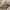 https://res.cloudinary.com/billionhands/image/upload/v1771579337/items/x1zpo98o84biebojgwdn.webp-3cover