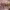 https://res.cloudinary.com/billionhands/image/upload/v1771579435/items/vk21tzg1dp0kihbl6195.jpg-0cover