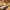 https://res.cloudinary.com/billionhands/image/upload/v1771579464/items/qsvc4whxi60tq2iagmlx.jpg-2cover