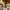 https://res.cloudinary.com/billionhands/image/upload/v1771579490/items/afys4fh8841i1p6iezaa.png-0cover