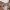 https://res.cloudinary.com/billionhands/image/upload/v1771579490/items/ozwxg16j7sxtnmyh7ap4.jpg-3cover