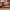 https://res.cloudinary.com/billionhands/image/upload/v1771579506/items/chanvi4aj0lgszeg7b9d.jpg-2cover