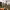 https://res.cloudinary.com/billionhands/image/upload/v1771579513/items/l1v44litar6vvfpfobm3.jpg-1cover