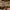 https://res.cloudinary.com/billionhands/image/upload/v1771579534/items/yzb4lzg2huwvtjwdltww.jpg-0cover