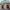https://res.cloudinary.com/billionhands/image/upload/v1771579692/items/edsainlzsczkvxzgiknw.jpg-2cover