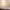 https://res.cloudinary.com/billionhands/image/upload/v1771579696/items/fhtgva7ovtp1pvnhjlin.webp-0cover