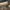 https://res.cloudinary.com/billionhands/image/upload/v1771579785/items/yi854xyyikqby4qh4ama.jpg-3cover