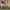 https://res.cloudinary.com/billionhands/image/upload/v1771579791/items/frgeodrwfkpywsdm49k1.jpg-2cover