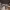 https://res.cloudinary.com/billionhands/image/upload/v1771579824/items/jevjn4sfutkwbtsz5iyy.jpg-0cover