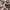 https://res.cloudinary.com/billionhands/image/upload/v1771579850/items/vry6sfhw0cthzttehfs2.jpg-1cover
