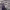 https://res.cloudinary.com/billionhands/image/upload/v1771579857/items/oo6hh41pif5jq4liv4b8.jpg-0cover