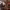 https://res.cloudinary.com/billionhands/image/upload/v1771579858/items/pqbxxnptw3ivyb95fziv.jpg-1cover