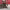 https://res.cloudinary.com/billionhands/image/upload/v1771579885/items/rc4fggzqcig22chklt9s.jpg-3cover