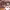 https://res.cloudinary.com/billionhands/image/upload/v1771580008/items/cg55cxofqxikqrfvp0sw.jpg-2cover