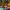 https://res.cloudinary.com/billionhands/image/upload/v1771580133/items/ekll45hwnbcsfr1iwiju.jpg-3cover