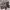 https://res.cloudinary.com/billionhands/image/upload/v1771580253/items/xtetafbvp95kq4i6mgfw.webp-0cover