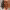 https://res.cloudinary.com/billionhands/image/upload/v1771580272/items/ubtiuxannhe4iktzxlxu.jpg-2cover