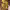 https://res.cloudinary.com/billionhands/image/upload/v1771580279/items/yt8hkh4ljbyxydtjxwho.jpg-3cover