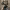 https://res.cloudinary.com/billionhands/image/upload/v1771658592/items/dylaacjrc8nwhyw6xhxj.png-2cover