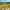 https://res.cloudinary.com/billionhands/image/upload/v1771658595/items/ve2sdxd8xoxungykxwkk.jpg-3cover